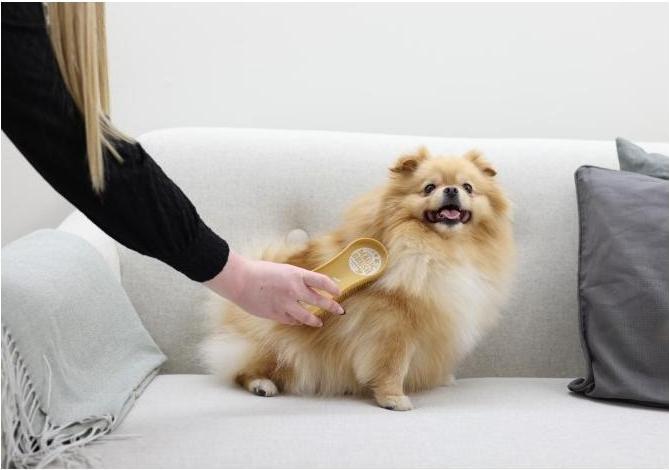 Produktbild Kerbl MagicBrush DOG soft sandstorm (Hund)