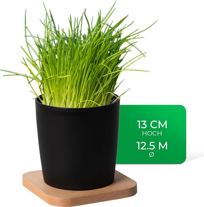 Produktbild Novaliv Stilvolle 2er Set Kräutertopf mit Holzunterlage für Jede Fensterbank, Für frische Küchenkräu (14 cm)