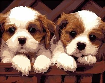 Maaleo Malen nach Zahlen - 30x40cm Zwei Hunde