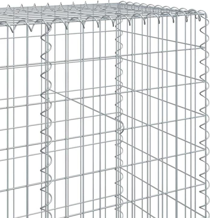 Image du produit vidaXL Gabionenkorb