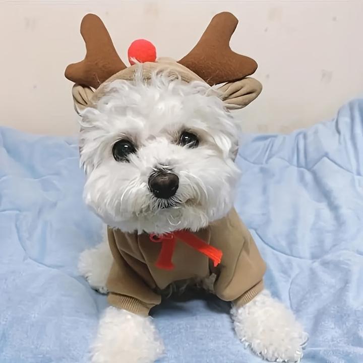 Actual product image Alopini Cosy reindeer hoodie in apricot for small to medium-sized dogs & cats - Festive (S, Dog jumper)