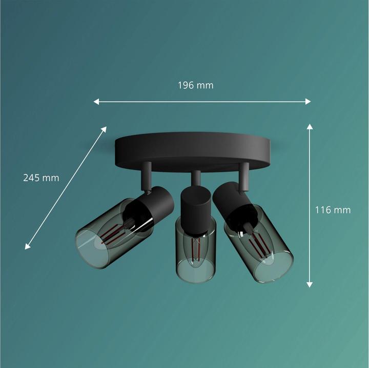 Produktbild Philips Palms (E14)