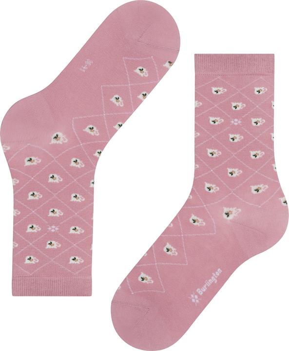 Produktbild Falke Teatime SO (36 - 41)