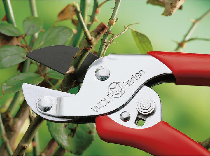 Actual product image Wolf-Garten Anvil garden shears