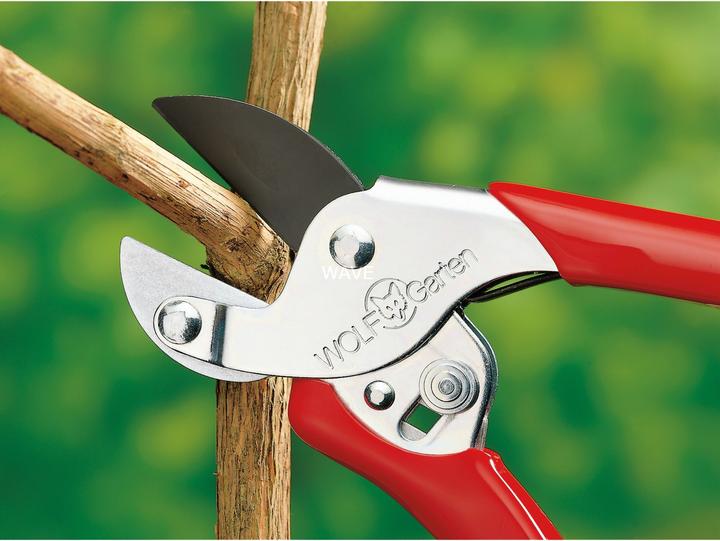 Actual product image Wolf-Garten Anvil garden shears