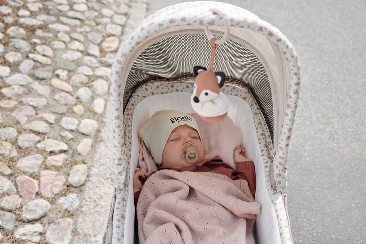 Immagine prodotto Elodie Carrozzina giocattolo Florian Fuchs