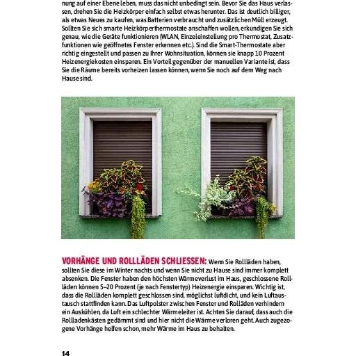 Thumbnail - Ochse:BILD Der Sparfochs - Sparen ohne, Ratgeber