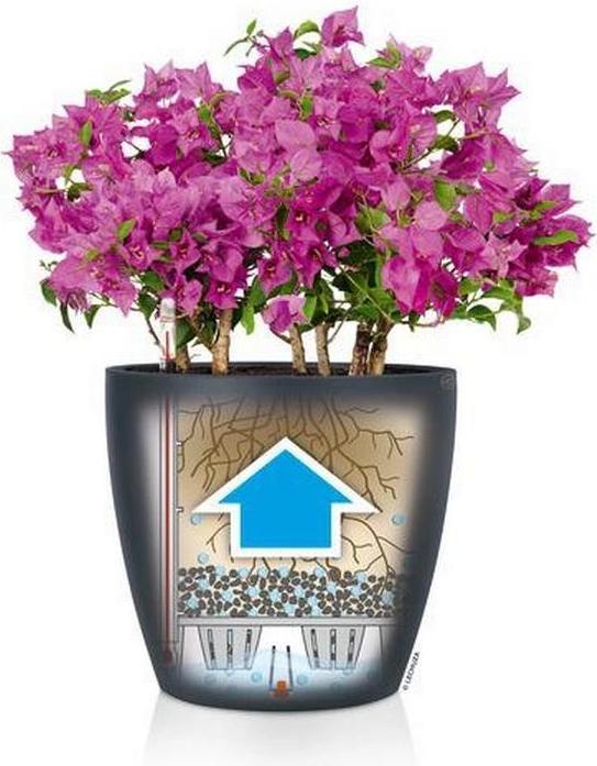Produktbild Lechuza Classico Color 35 (35 x 32.50 cm)