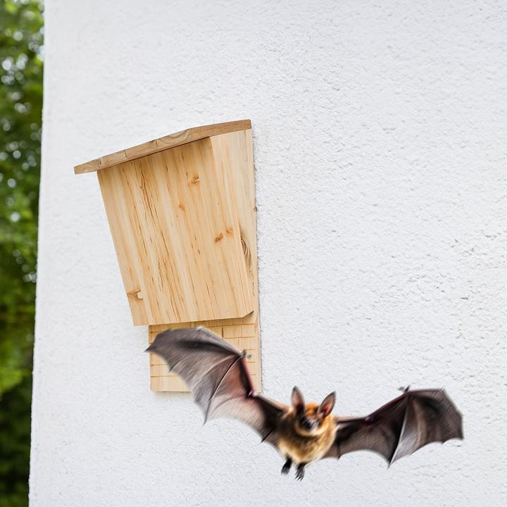 Produktbild Relaxdays 2x Fledermauskasten