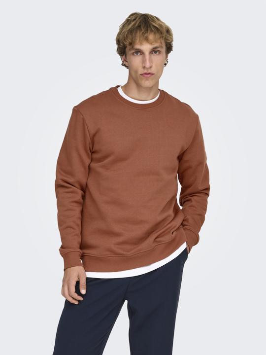 Produktbild Only & Sons Onsconnor Reg Crew Neck Sweat Noos (S)
