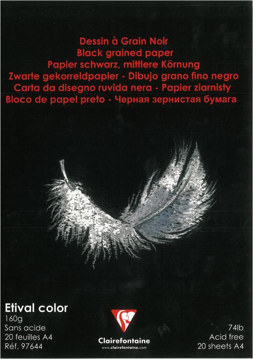 Immagine prodotto Clairefontaine Disegno colorato (A4)