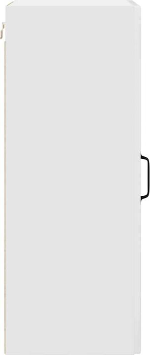 Immagine prodotto vidaXL Küchenschrank (40 x 31 x 80 cm)