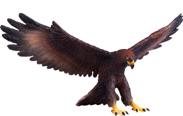 Image du produit Mojo Faune Aigle royal