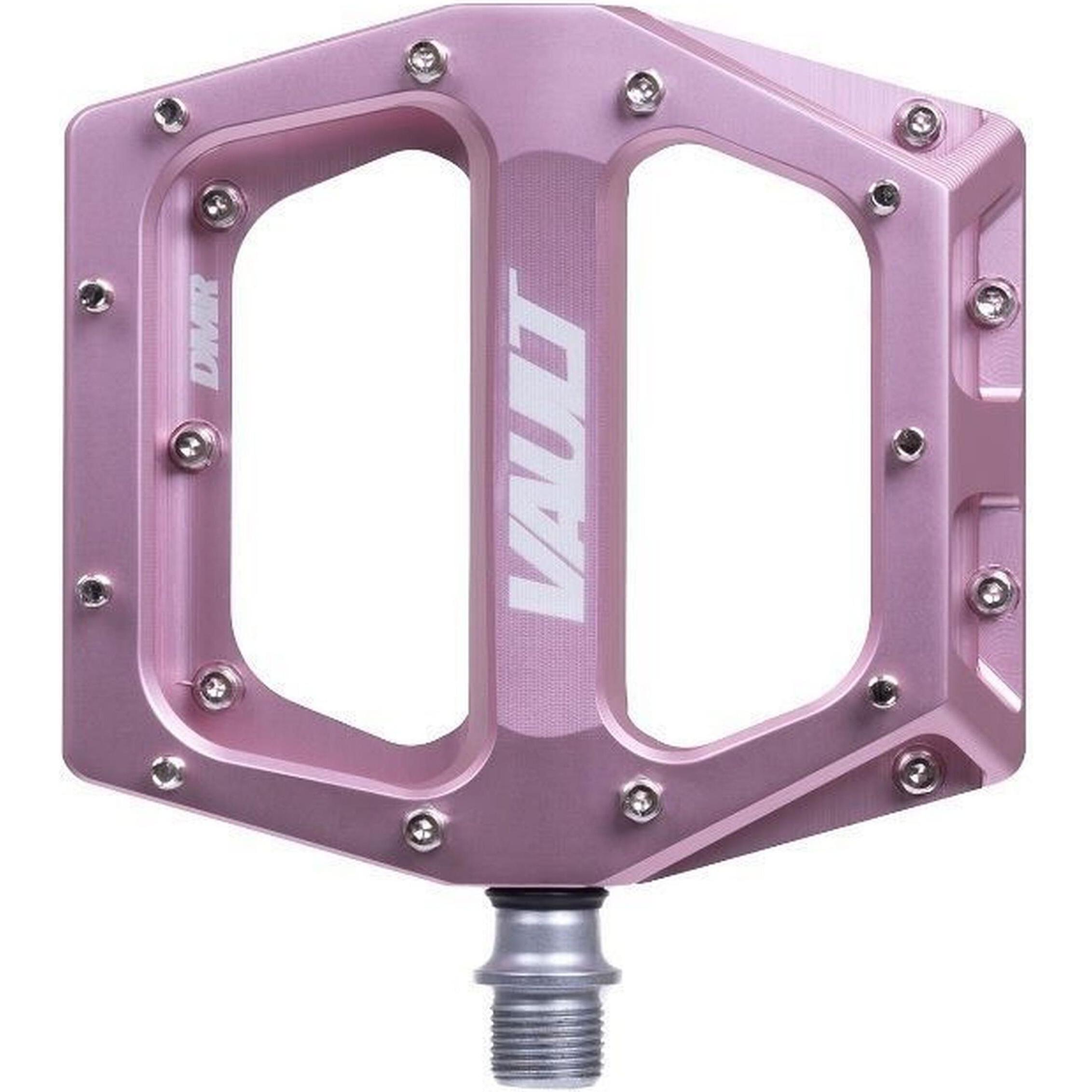 DMR Vault (DMR-VAULT-PI2)