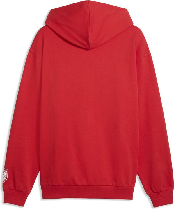 Produktbild Puma ÖFB ftblCulture Relaxed Hoodie (3XL)