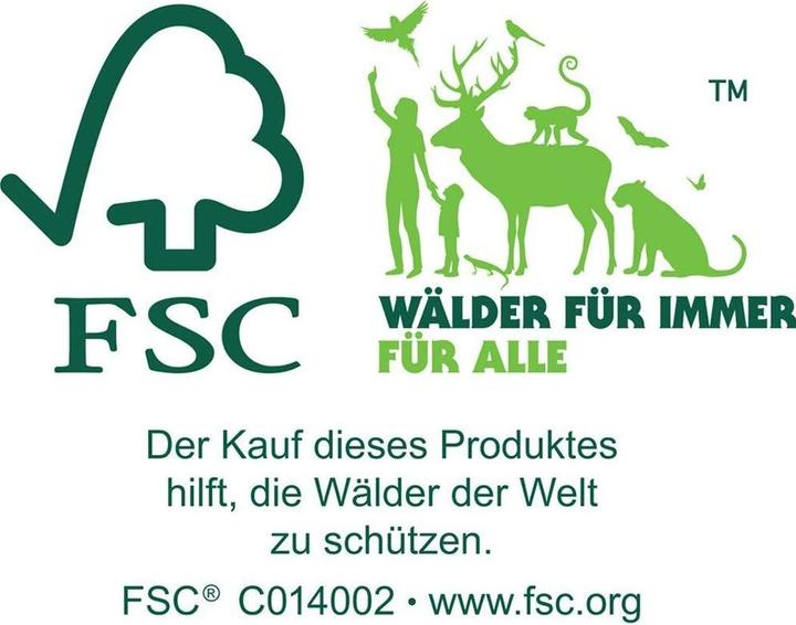 Actual product image Zeller Present All-purpose box (60 x 40 x 24 cm, 57.50 l, 1x)