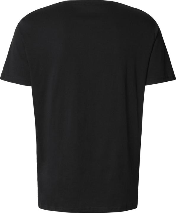 Actual product image Alpha Industries tee (S)