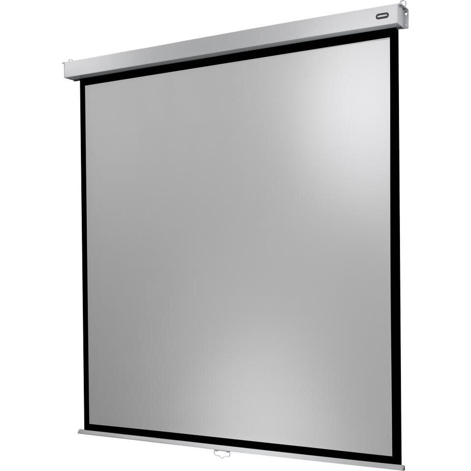 Celexon Manual Professional Plus Square format - Leinwand - Deckenmontage möglich, geeig (66.93", 1:1), Leinwand, Weiss