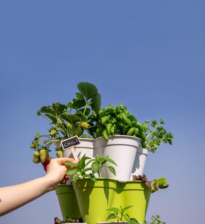 Produktbild Hexagro Poty S Kit Bundle - Starter Kit