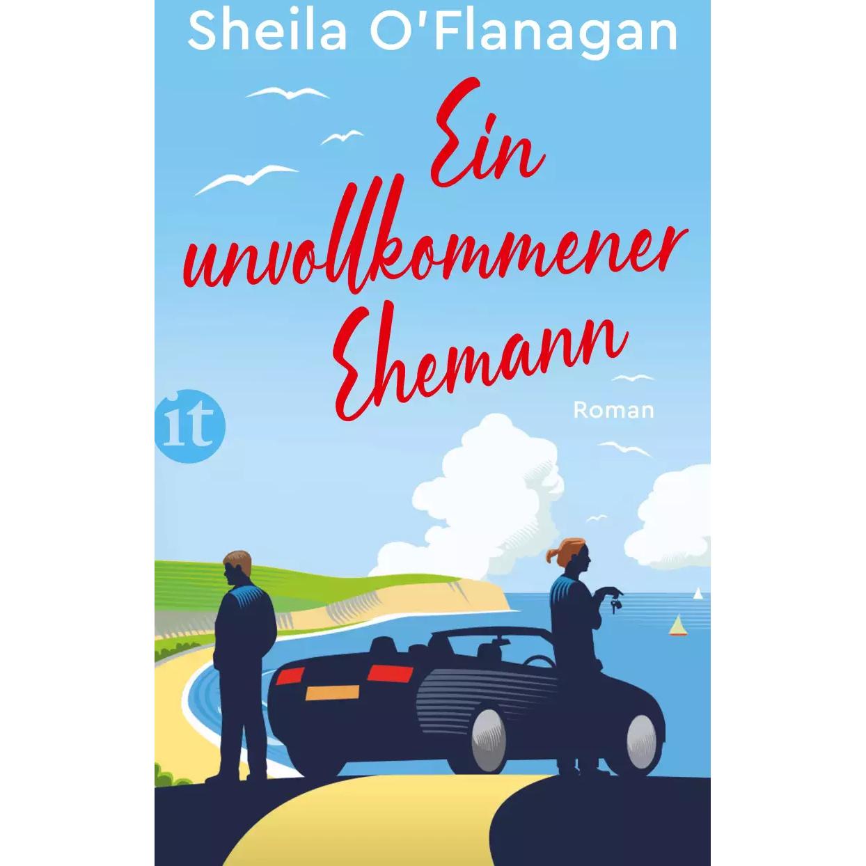 Ein unvollkommener Ehemann, Belletristik von Sheila OFlanagan