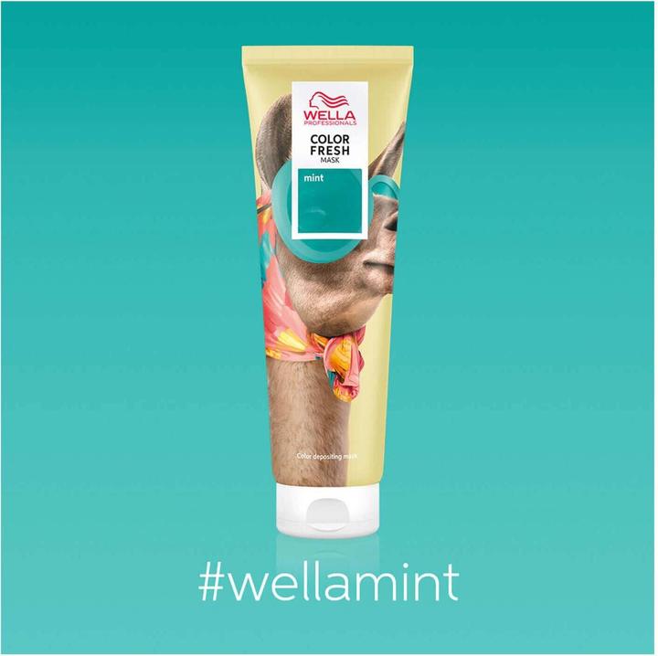 Image du produit Wella Color Fresh (150 ml)