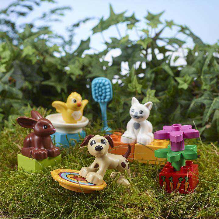 Actual product image LEGO Pets (10838)