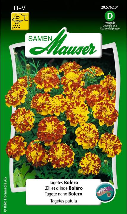 Produktbild Samen Mauser Tagetes Bolero (Blumensamen)