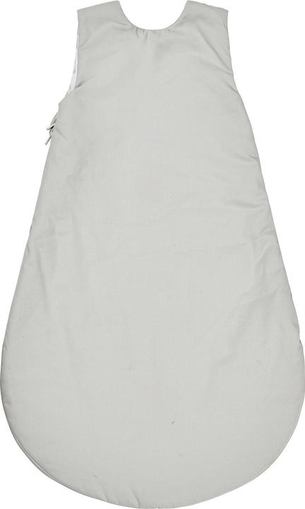 Produktbild Sterntaler Babyschlafsack Motiv Dino Rexi 1, TOG