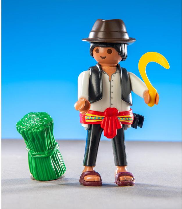 Image du produit Playmobil Figures Boys (série 27) (71760, Figurines Playmobil)