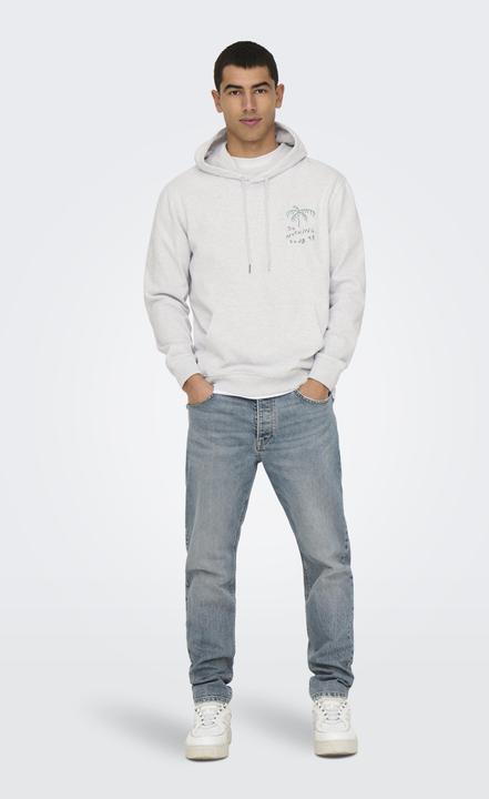 Produktbild Only & Sons ONSDAVID Sweatshirt Kapuzenpullover (L)