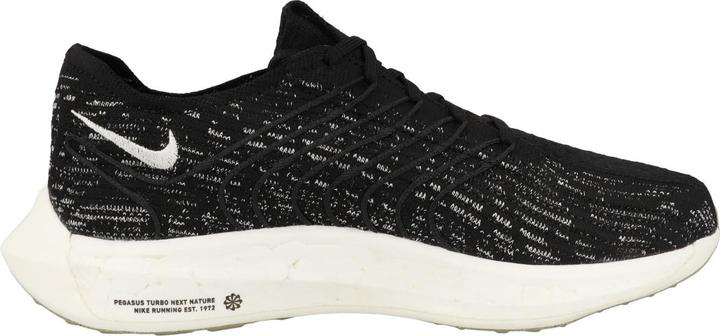 Actual product image Nike Pegasus Turbo Next Nature (41)