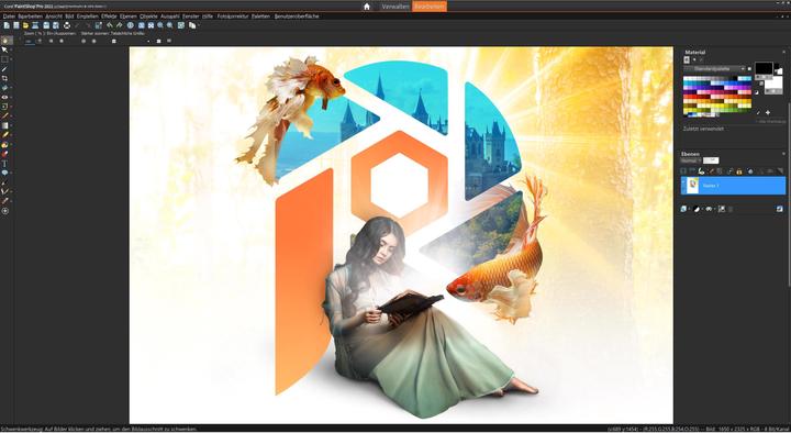 Produktbild Corel PaintShop Pro 2021 Ultimate (1 User, unbegrenzt)