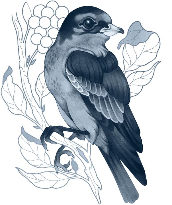 Image du produit Copic CIAO - Kit de marqueurs (4x)