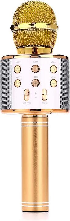 Actual product image Manta MIC10-G gold