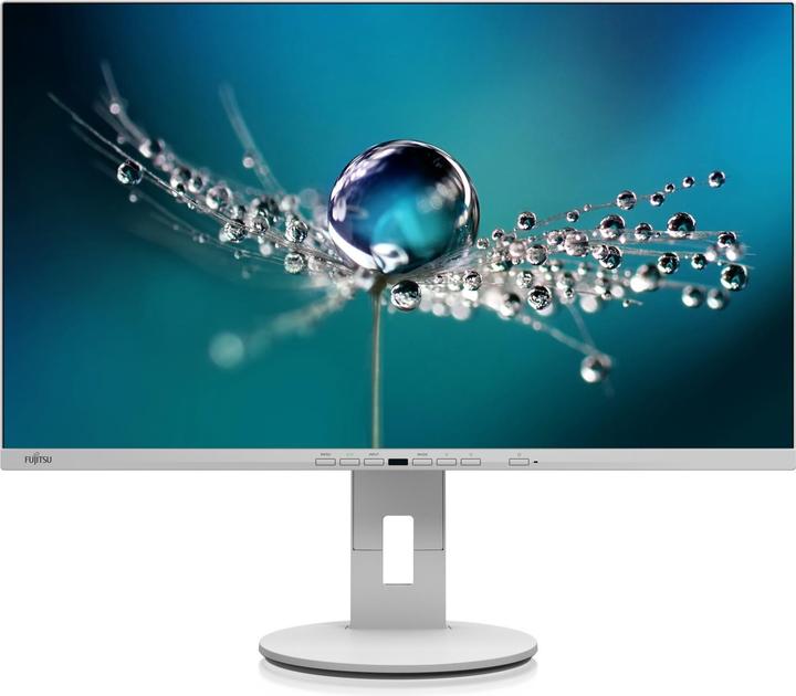 Fujitsu B2711 TE FHD (1920 x 1080 Pixel, 27")