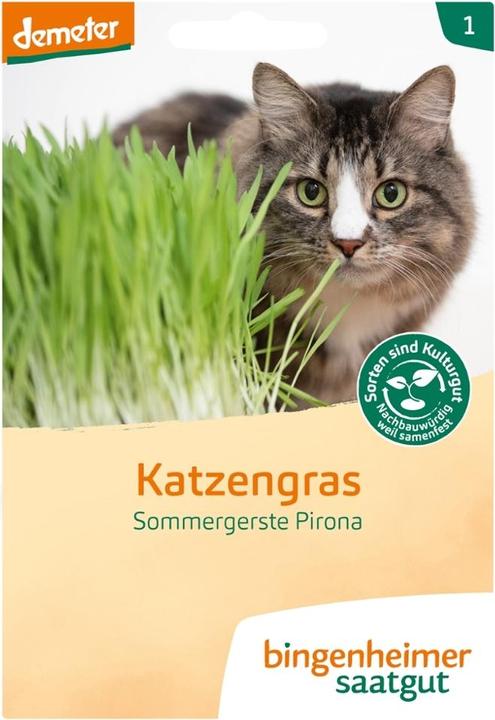 Bingenheimer Saatgut Katzengras Sommergerste Pirona (Kräutersamen)