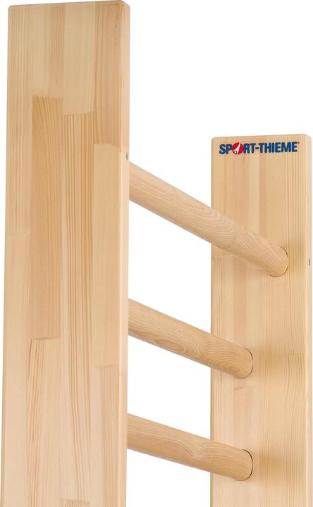 Actual product image Sport-Thieme Wall bars single panel, 240x100 cm