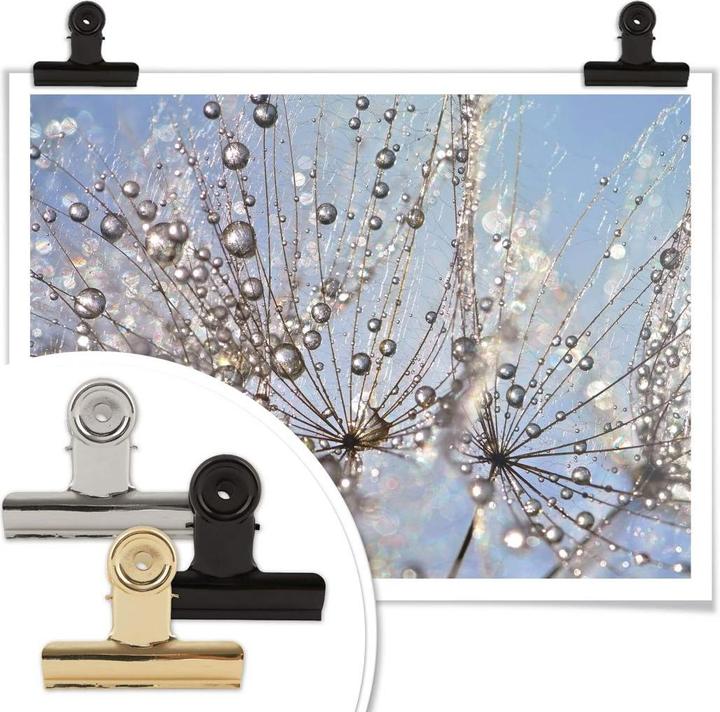 Image du produit Trenddeko Goutte d'eau dans le pissenlit (30 x 24 cm)