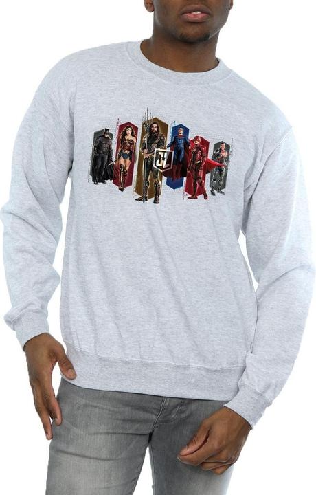 Produktbild Justice League Movie Team Hexagons Sweatshirt (L)