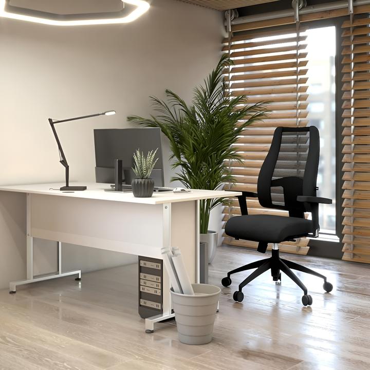 Actual product image Topstar Lady Sitness Deluxe