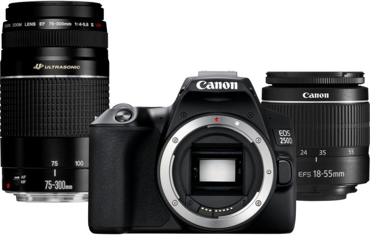 Canon EOS 250D Kit (24.10 Mpx, APS-C / DX)