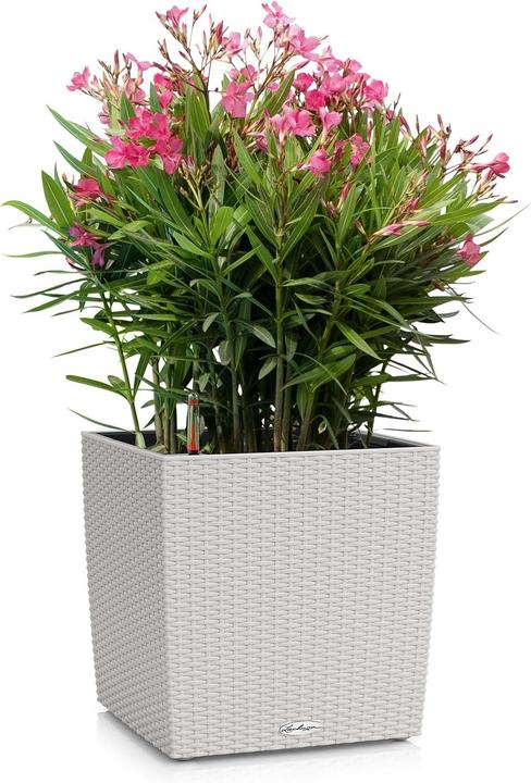 Actual product image Lechuza Flowerpot Cube Cottage 40 (40 x 39 x 40 cm)