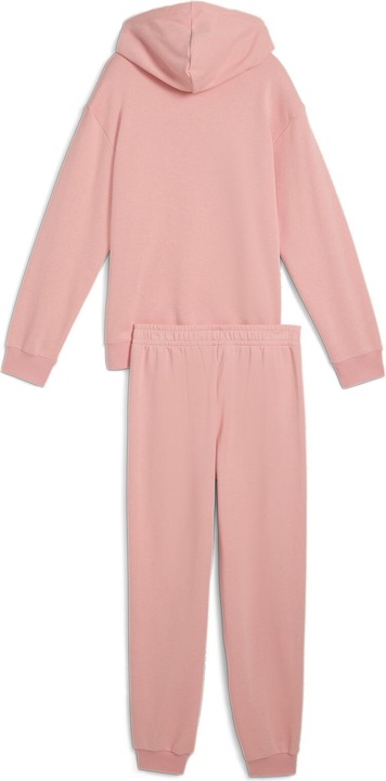 Actual product image Puma Loungewear Suit TR G (164)