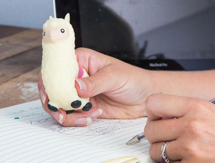 Actual product image Winkee - Calma Llama Stress Toy - (18516)