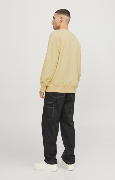 Actual product image Jack & Jones Printed sweatshirt with round neck Sweatshirt with round neck (S)