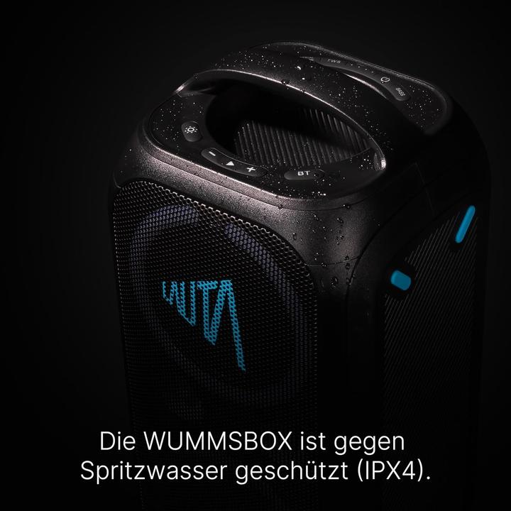 Image du produit TechniSat Wummsbox (12 h)