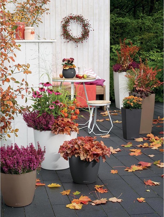 Image du produit Lechuza Classico Color (21.50 cm)