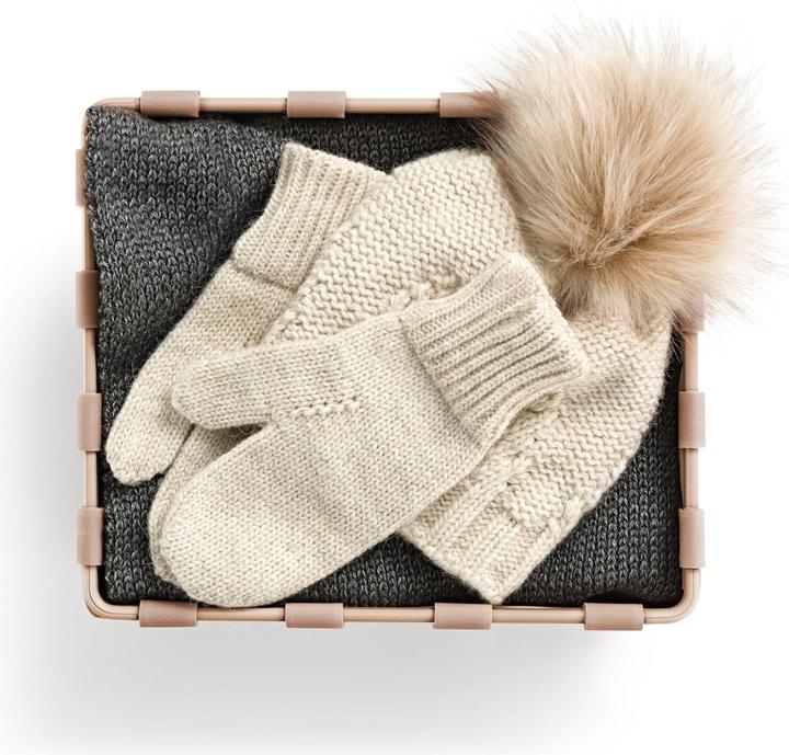 Produktbild reisenthel Aufbewahrungsbox Frame M Hellbraun (18 l)