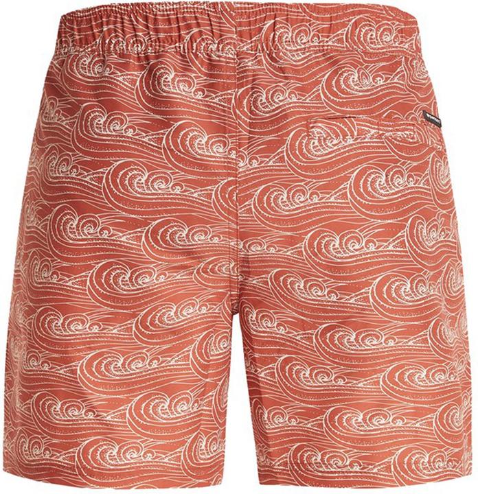Image du produit Protest Short de plage Prtterton pour hommes (L)