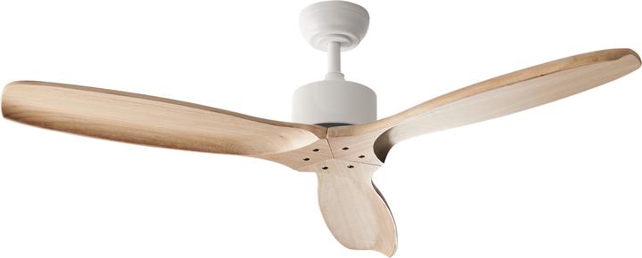 Beliani Arani (45 dB)